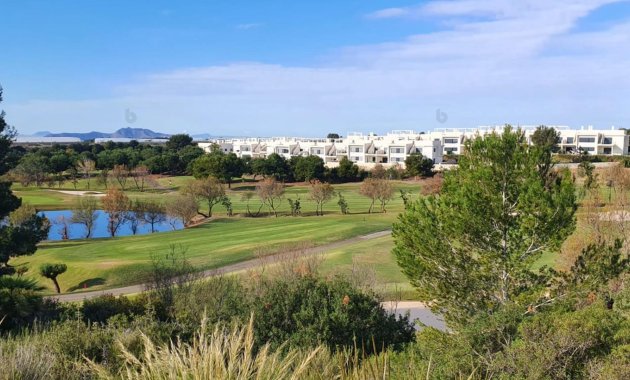 Obra nueva - Villa -
Pilar de la Horadada - Lo Romero Golf