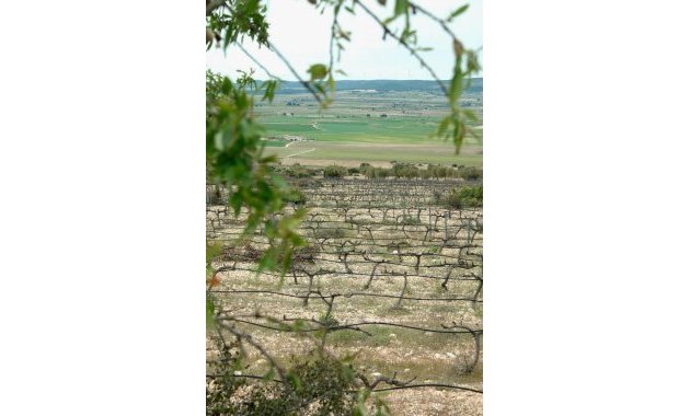 Nouvelle construction - Détaché / Villa -
Yecla