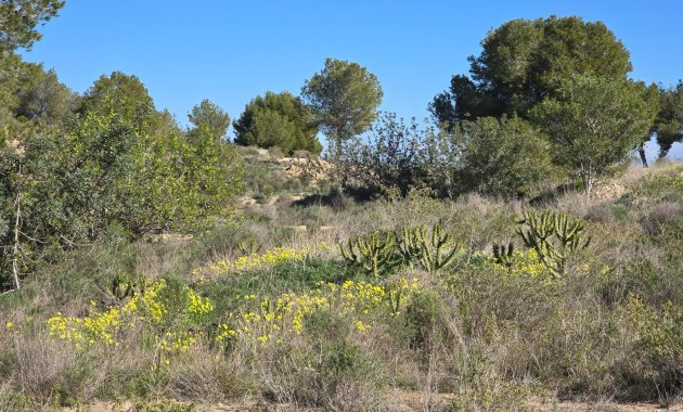 Herverkoop - Appartement -
Orihuela Costa