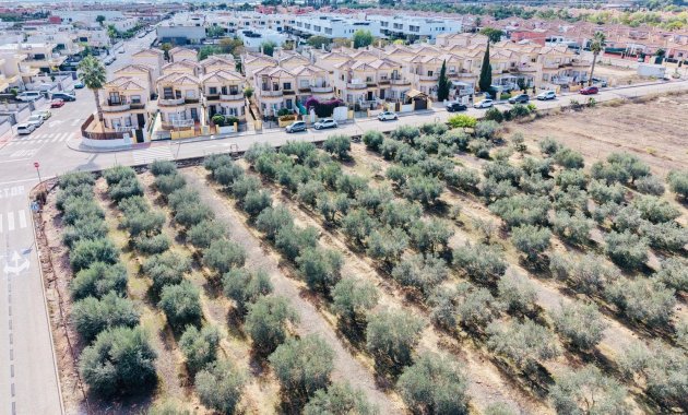 Resale - Detached House / Villa -
Los Montesinos - La Herrada