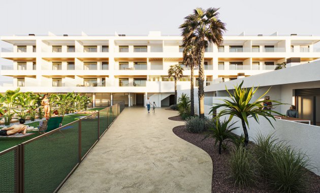 Obra nueva - Ático -
Torrevieja