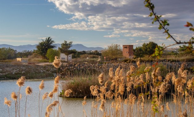 Nieuwbouw Woningen - Bungalow -
Guardamar del Segura - Guardamar Del Segura