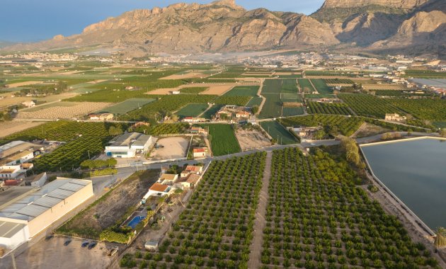 Herverkoop - Finca   -
Orihuela