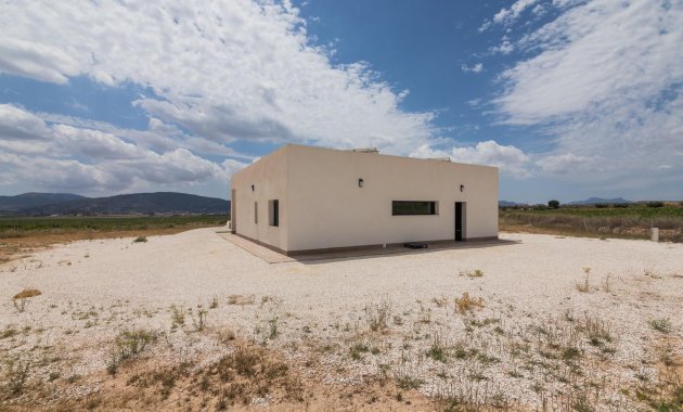 Obra nueva - Villa -
Pinoso - Lel