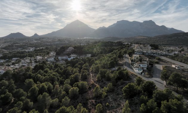 Obra nueva - Villa -
Alfas del Pí - Escandinavia