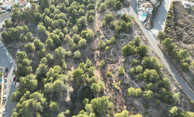 Obra nueva - Villa -
Alfas del Pí - Escandinavia