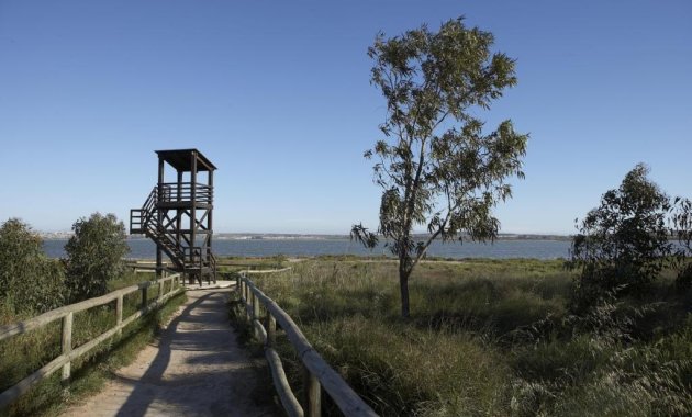 Obra nueva - Bungalow -
Torrevieja - Altos del Sol