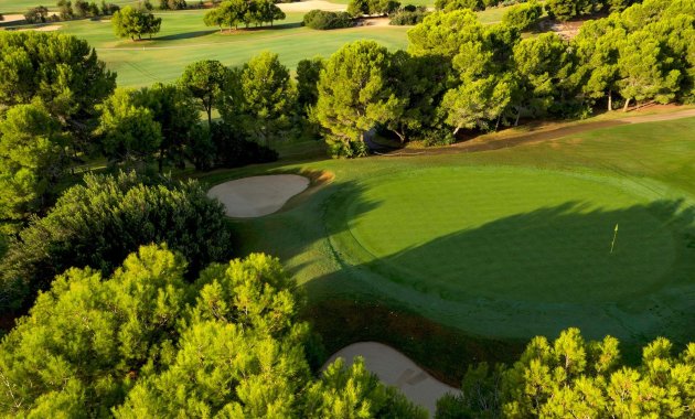 Obra nueva - Villa -
Pilar de la Horadada - Lo Romero Golf