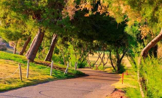 Obra nueva - Villa -
Pilar de la Horadada - Lo Romero Golf