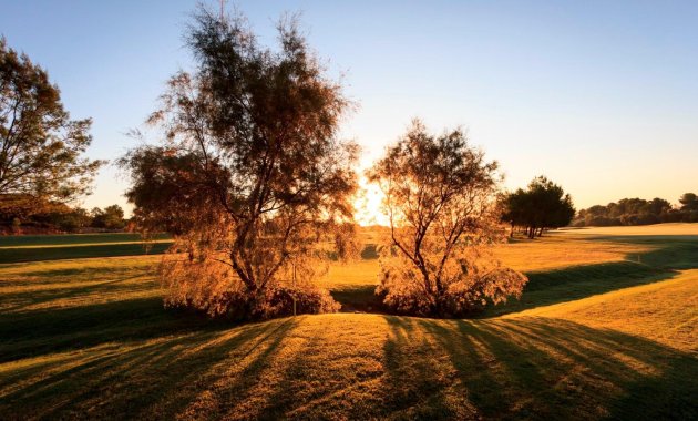 Obra nueva - Villa -
Pilar de la Horadada - Lo Romero Golf