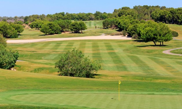 Obra nueva - Villa -
Pilar de la Horadada - Lo Romero Golf