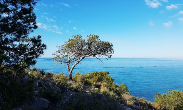 Neue Gebäude - Apartment -
Villajoyosa - Playa Les Torres