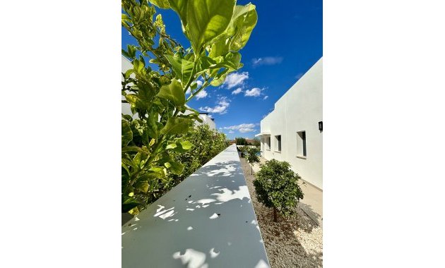 Nieuwbouw Woningen - detached -
Benijofar