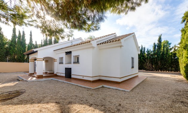 Nieuwbouw Woningen - detached -
Fuente Álamo - Fuente Alamo