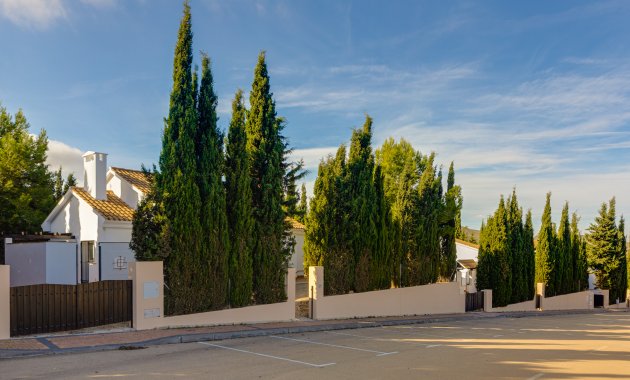 Nieuwbouw Woningen - detached -
Fuente Álamo - Fuente Alamo