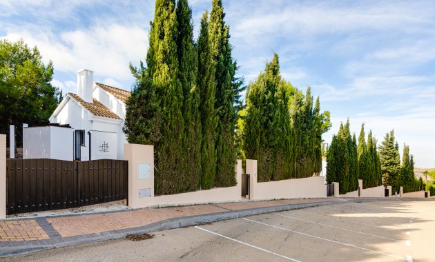 Nieuwbouw Woningen - detached -
Fuente Álamo - Fuente Alamo