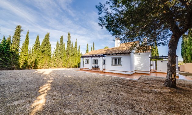 Nieuwbouw Woningen - detached -
Fuente Álamo - Fuente Alamo