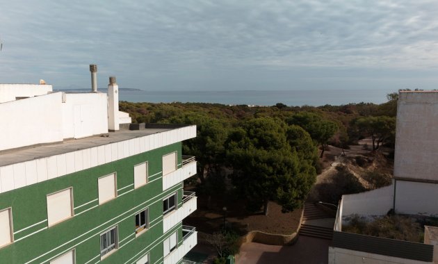 Nieuwbouw Woningen - Appartement -
Guardamar del Segura - Guardamar Del Segura