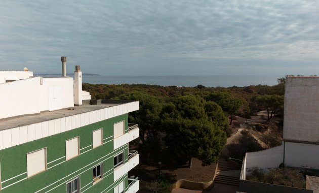 Nieuwbouw Woningen - Appartement -
Guardamar del Segura - Guardamar Del Segura