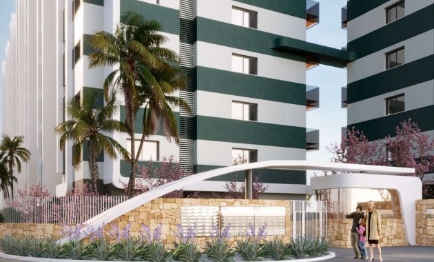 Obra nueva - Ático -
Torrevieja
