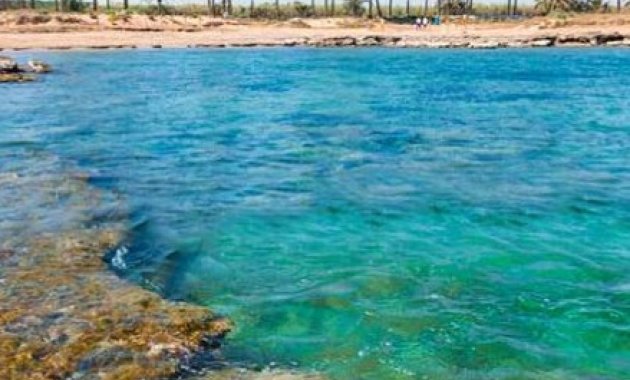 Nieuwbouw Woningen - Penthouse -
Torrevieja
