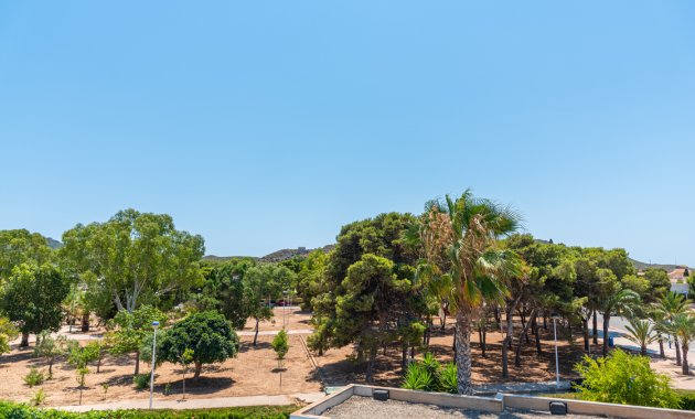 New Build - Detached House / Villa -
Playa Paraiso