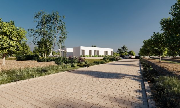 New Build - Detached House / Villa -
Algorfa
