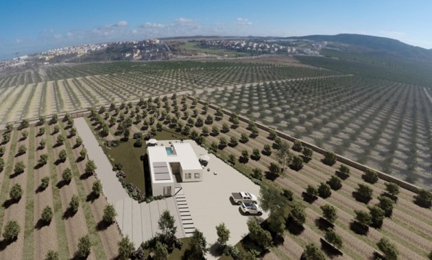 New Build - Detached House / Villa -
Algorfa
