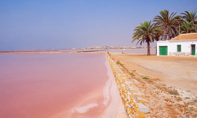 Neue Gebäude - ground-floor -
San Pedro del Pinatar - San Pedro Del Pinatar