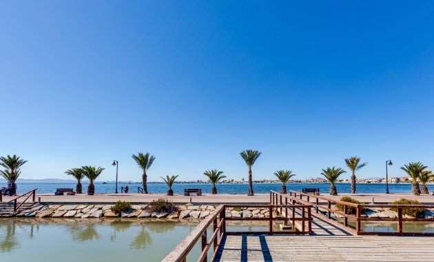 Nouvelle construction - Détaché / Villa -
Pilar de la Horadada