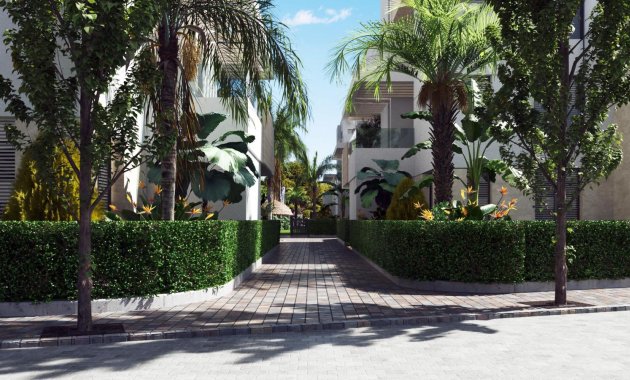 Obra nueva - Apartamento -
Torre-Pacheco