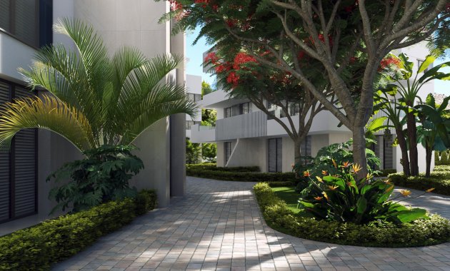 Obra nueva - Apartamento -
Torre-Pacheco