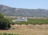 Nieuwbouw Woningen - Villa -
Pinoso - Camino Del Prado