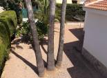 Herverkoop - Vrijstaande woning / Villa -
Ciudad Quesada - Rojales - Ciudad Quesada