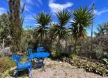 Herverkoop - Finca   -
Cartagena