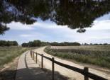 Neue Gebäude - Bungalow -
Torrevieja - Altos del Sol