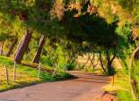 Nouvelle construction - Villa -
Pilar de la Horadada - Lo Romero Golf