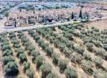 Resale - Detached House / Villa -
Los Montesinos - La Herrada