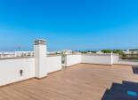 Obra nueva - Bungalow - Planta Baja -
Torrevieja