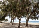 Nouvelle construction - Appartement -
Villajoyosa - Playa Les Torres