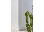 New Build - detached -
Los Alcazares - Los Alcázares