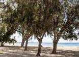Nieuwbouw Woningen - Appartement -
Villajoyosa - Playa Les Torres