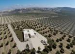 Obra nueva - Villa -
Algorfa - Lomas De La Juliana
