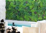 Obra nueva - Bungalow -
Pilar de la Horadada - Torre De La Horadada