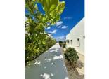 Nieuwbouw Woningen - detached -
Benijofar