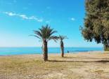 Nouvelle construction - Appartement -
Villajoyosa - Playa Les Torres