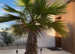 Herverkoop - Vrijstaande woning / Villa -
Ciudad Quesada - Rojales - Rojales