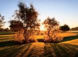 Nouvelle construction - Villa -
Pilar de la Horadada - Lo Romero Golf