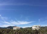Nouvelle construction - Villa -
Pinoso - Camino Del Prado