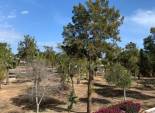 Reventa - Independiente / Villa -
Guardamar del Segura - El Raso